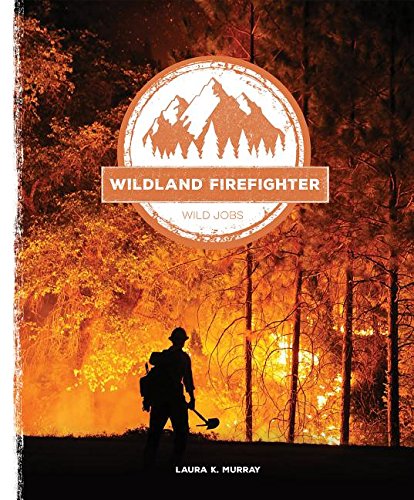 this is the firefighter by laura godwin this is the firefighter by laura godwin