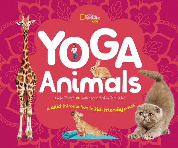 Zoo Themed Yoga Cards by Pink Oatmeal | TPT